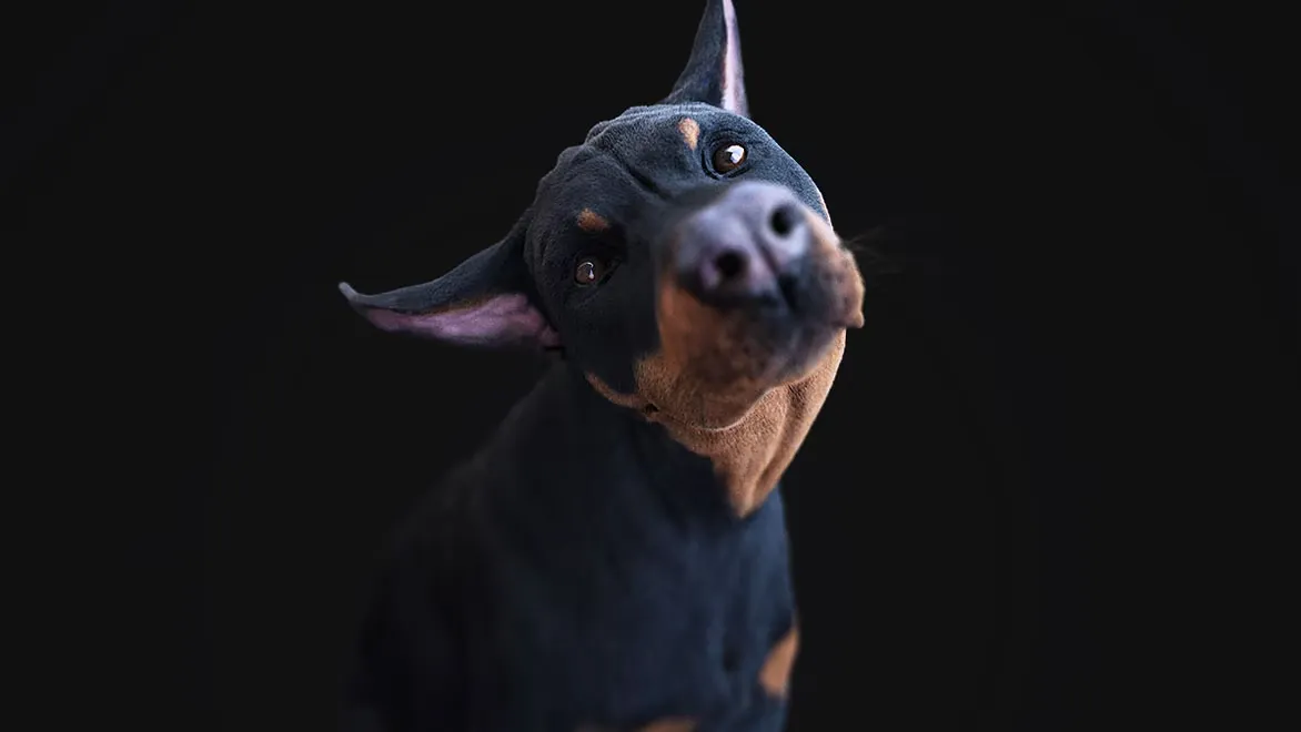 Autodesk Mudbox
